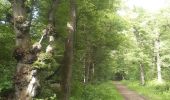 Tocht Noords wandelen Seraing - vecquée sud  - rond jaune  - Photo 5