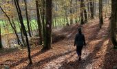 Trail Walking Bouillon - Corbion - pont de l’Epinet - Photo 11