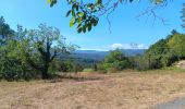 Tour Wandern Prades - codalet . coll de Clara . abbaye St Michel de Cuxa . canal bohère - Photo 12