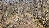 Trail Walking Dinant - Dinant - Anseremme - Photo 4