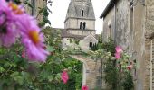 Tocht Te voet Savigny-lès-Beaune - Chemin des Vignes - Photo 8