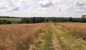 Trail Walking Dinant - FOY GPX BERLAGE - Photo 18