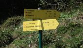 Tocht Te voet Großarl - Wanderweg 32 - Photo 10