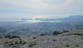 Tour Wandern Évenos - Cap Gros en partant du col du corps de Garde - Photo 13