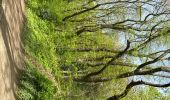 Tocht Stappen Aken - Bismarcksturm Aachen Centrum Lousberg boucle park 15 km - Photo 6