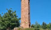 Tour Wandern Schnierlach - La tour du Faudé - Photo 9