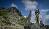 Trail Walking Vivario - Punta dell ORIENTE - Photo 10
