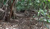 Tour Wandern Le Lorrain - Boucle Crabière - Anse Rivière Rouge - Photo 3