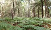 Tour Wandern Ervy-le-Châtel - ERVY LE CHATEL, au départ de la halle - Photo 15