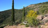 Tour Wandern La Garde-Freinet - La Garde Freinet - ND de Miremer - Photo 6