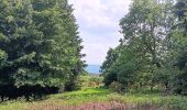 Randonnée Marche Theux - au sud de Bronrome  - Photo 17