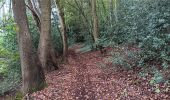 Excursión Senderismo Chaudfontaine - embourg . beaufraipont . lande de mehagne . bois des 4 corneilles . embourg  - Photo 11