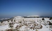 Excursión A pie Sobotín - NS Po hřebenech světem horských luk - Photo 8