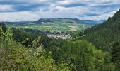 Tour Wandern Chanac - Rando..Chanac..Causses de Sauveterre..16/05/2024 - Photo 2