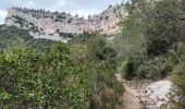 Tour Wandern Plan-d'Aups-Sainte-Baume - Plan d'Aups-02-03-22 - Photo 3