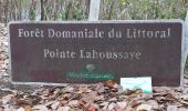 Trail Walking Sainte-Marie - Belle étoile  vers la pointe Lahoussaye par Anse du four - Photo 15