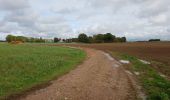 Trail Walking Limours - Essonne_Tour_des_Fermes_de_la_Prédecelle - Photo 8