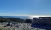 Randonnée Marche Évenos - le cap gros - Photo 4