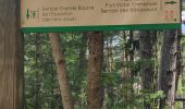 Trail Walking Val-Cenis - Bramans/fort de l'Esseillon - Photo 5