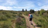 Trail Walking Muhlbach-sur-Bruche - Les chaumes de Grendelbruch - Photo 9