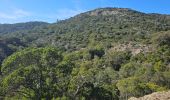 Randonnée Marche Bormes-les-Mimosas - Forêt du Dom - Photo 12