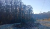 Trail Walking Liège - autour de Streupas - Photo 14