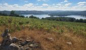 Tour Wandern Unknown - vassiviere  - Photo 1