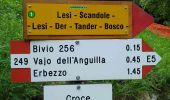 Randonnée A pied Bosco Chiesanuova - Percorso n. 1 - Photo 3