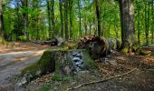 Tour Zu Fuß Rheden - Beekhuizen Keienberg Veluwezoom - Photo 7