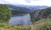 Tocht Stappen Orbey - Tour de lac Noir et du Lac Blanc  - Photo 13