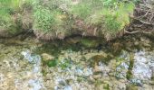 Trail Walking Saint-Zacharie - sources huveaune.pas peuruis. j.f marie - Photo 1