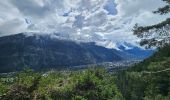 Tour Wandern Chamonix-Mont-Blanc - J13 - R11 - Chalet La Floria depuis Les Praz de Chamonix - Photo 18