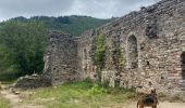 Tour  Mazamet - Mazamet la passerelle - Photo 6