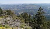 Excursión Senderismo Bédoin - la frache - Photo 9