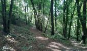 Randonnée Marche Liège - tour de Streupas par les petits chemins - Photo 7