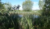 Tocht Noords wandelen Soumagne - Ayeneux_30_05_2021 - Photo 5