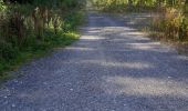 Tour Wandern Mons-en-Pévèle - circuit de mons en pevele - Photo 6