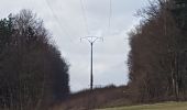 Randonnée Marche Maraye-en-Othe - forêt chenu - Photo 3