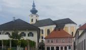 Tour Zu Fuß Gaspoltshofen - Herkules Pfad - Photo 8