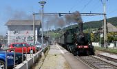 Percorso A piedi Döttingen - Döttingen Brücke - Kraftwerk Klingnau - Photo 2