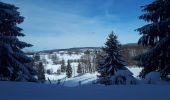 Trail Cross-country skiing Foncine-le-Haut - Valentin La Ferme - Chapelle des Bois  - Photo 2