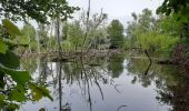 Tour Wandern Sankt Ludwig - PCA - Photo 2