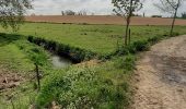 Randonnée A pied Soignies - balade du Pont Wazon  - Photo 8