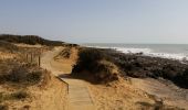 Randonnée Marche Jard-sur-Mer - Jard sur mer - Pointe du Payré - Photo 2