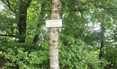 Trail Equestrian Porcelette - Wikiloc - Porcelette - Grotte des russes - Photo 5