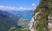 Trail Walking Bellecombe-en-Bauges - BAUGES: TOUR DE LA MONTAGNE DU CHARBON - Photo 7