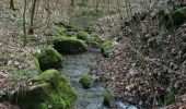 Tour Zu Fuß Pilsach - Kreuz- und Felsenweg - Photo 6