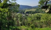 Trail Walking Oberbruck - Oberbruck. Cresson  - Photo 2