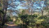 Tour Wandern Saze - 2024-03-13 les capitelles de Saze - Photo 20