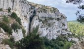 Tour Wandern Saint-Rémy-de-Provence - Gaussier, Peiroou et les 2 trous - Photo 13